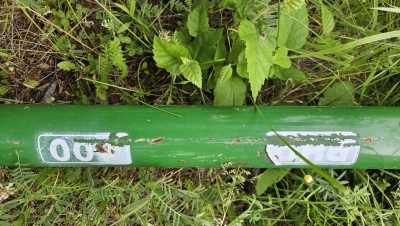 Tarière
