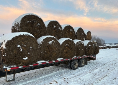 Remorque plate-forme